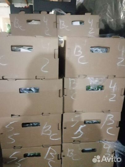 Огурцы агро и помидоры