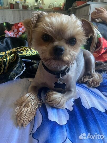 Милый мальчишка ждет свою принцесску