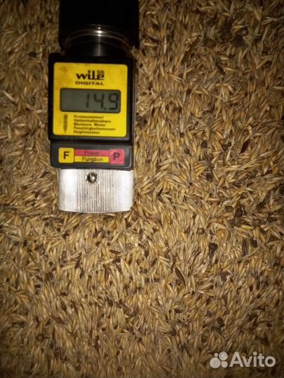 Овес из-под комбайна 130 тонн