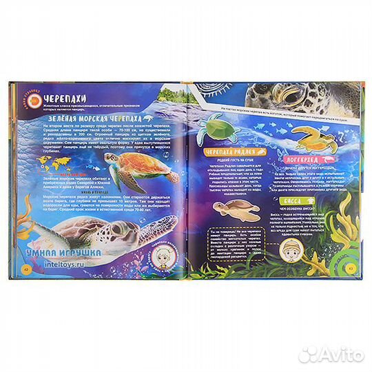 WOW Животные Энциклопедия в твердой обложке 4D