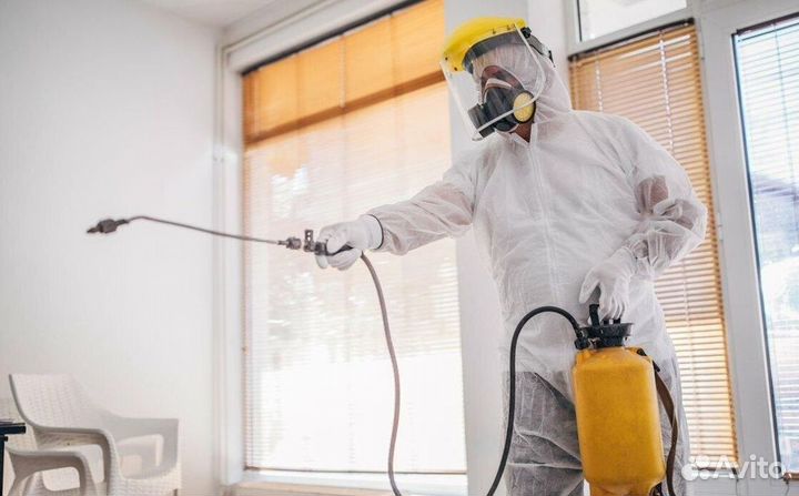 Средство для Уничтожения клопов травля тараканов дезинфекции