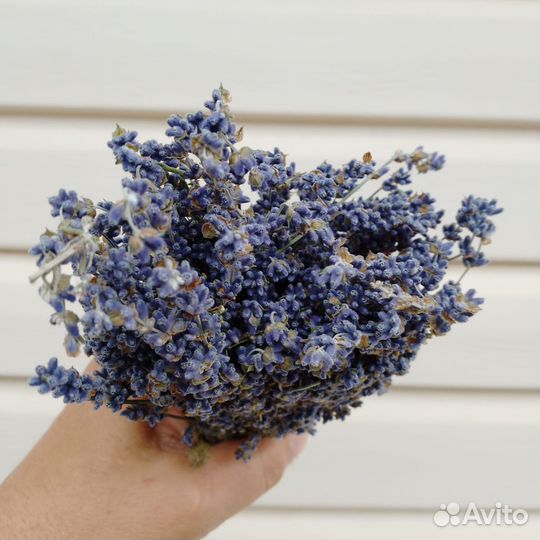 Букет лаванды