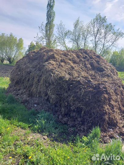 Коровий навоз