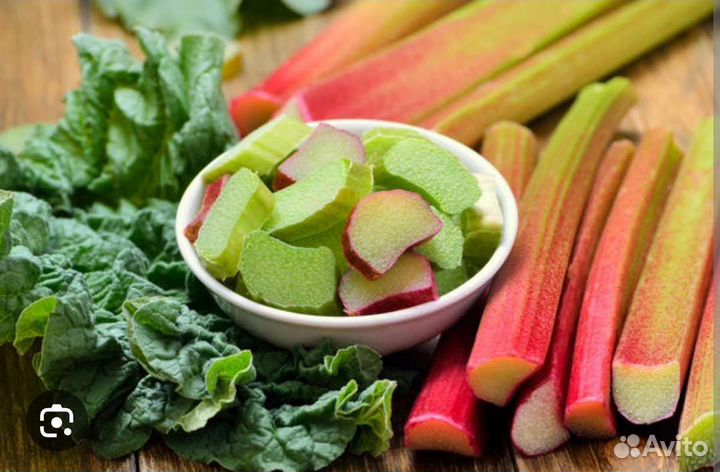 Ревень стебли