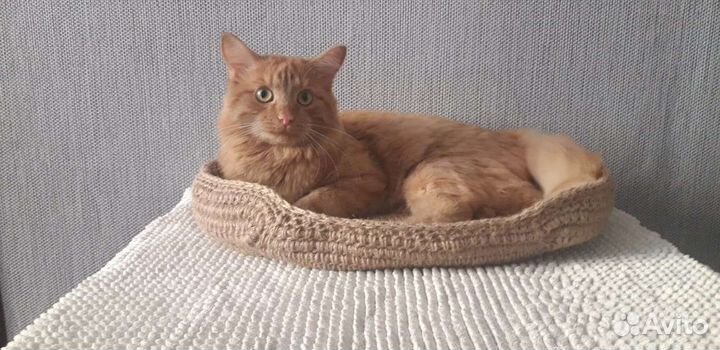 Лежанка из джута для кошек и собак