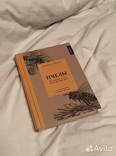 Пчелы