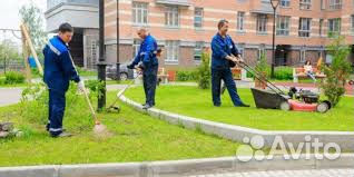 Дворник/Разнорабочий/Авансы наличными