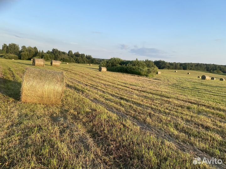 Сено луговое в рулонах