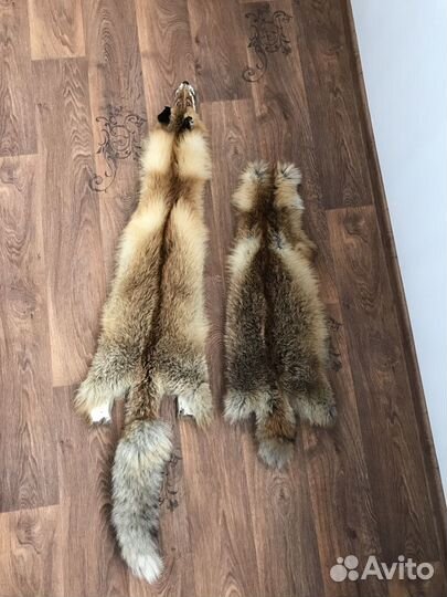 Выделка шкур (свеже соленые)