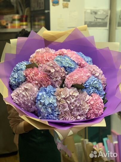 Красивые букеты Гортензии Цветы Доставка