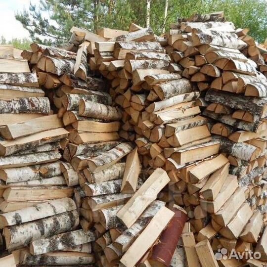 Дрова береза