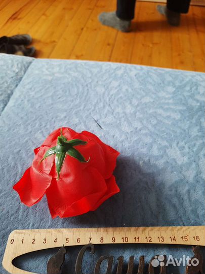 Голова розы