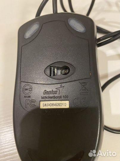 Мышь компьютерная