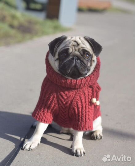 Одежда для собак свитер ручной работы