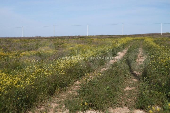 Участок 6 сот. (ИЖС)