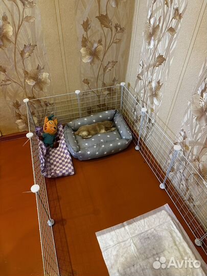 Вольер для маленьких животных