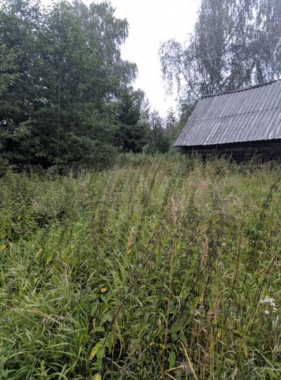 Участок 3,6 га (СНТ, ДНП)