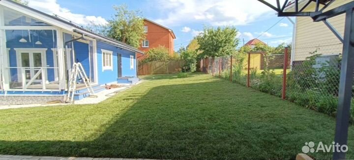 Рулонный газон для участка