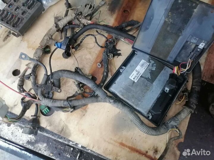 Мозги рено Лагуна 1 2л бензин 8кл