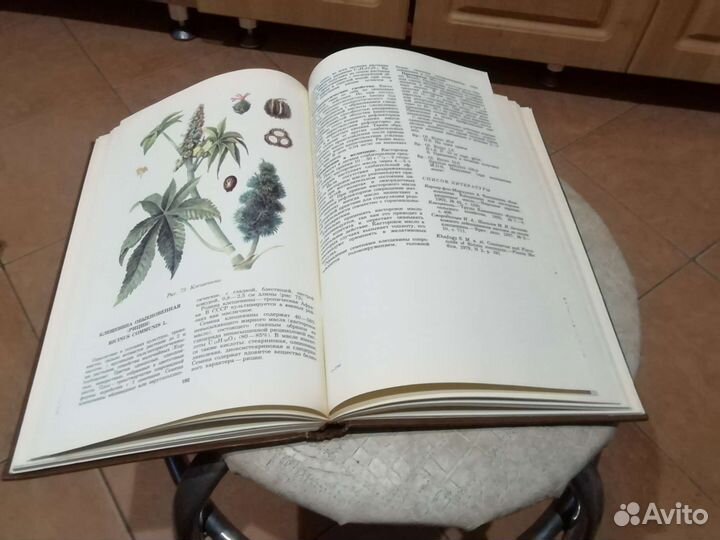 Лекарственные растения СССР и их применение