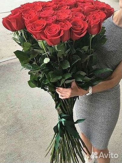 Высокие розы