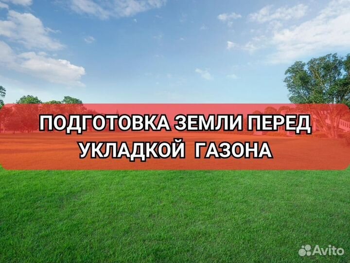 Укладка и продажа газона стандарт