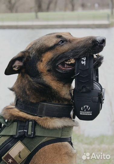 Тактические активные наушники олива