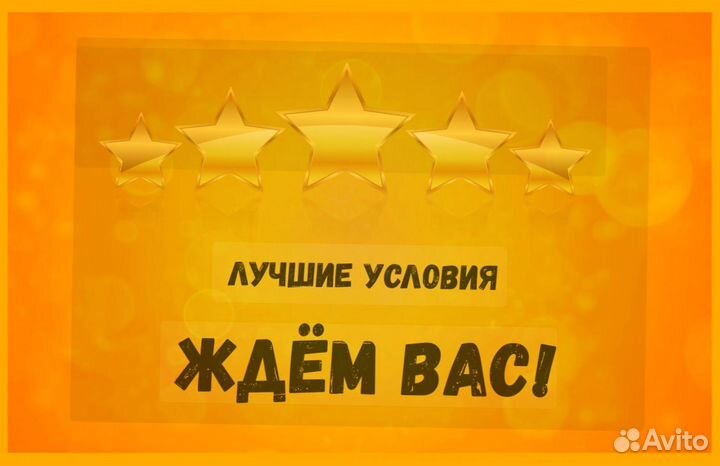 Наборщик заказов Без опыта Еженедельные выплаты