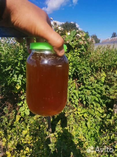 Мед натуральный