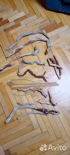 Коряги дрифтвуд