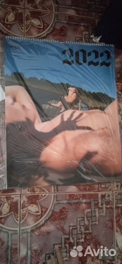 Коллекция календарей с девушками 9 шт