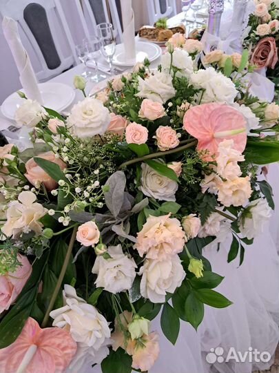 Ведущая и певица Елена Сторожевская