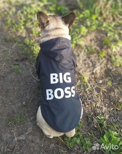 Куртка-дождевик для собак