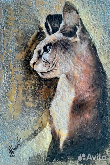 Кот, Сфинский