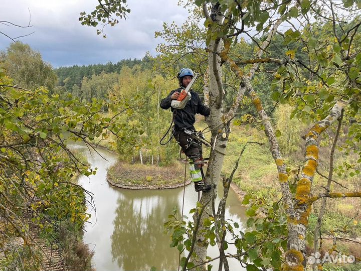Спилить дерево