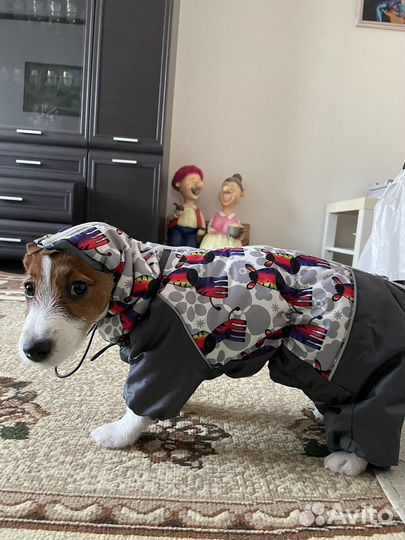 Комбинезон для собаки