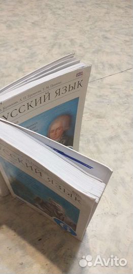 Литература. 9 класс.Коровина. Меркин. бу