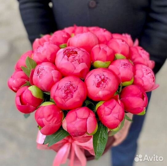 Пионы Букет
