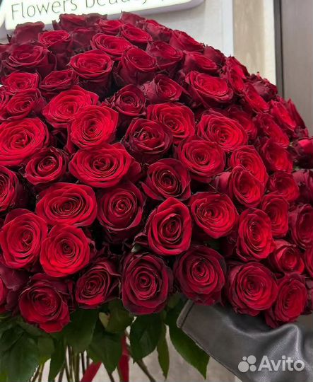 101 Роза 101 роза