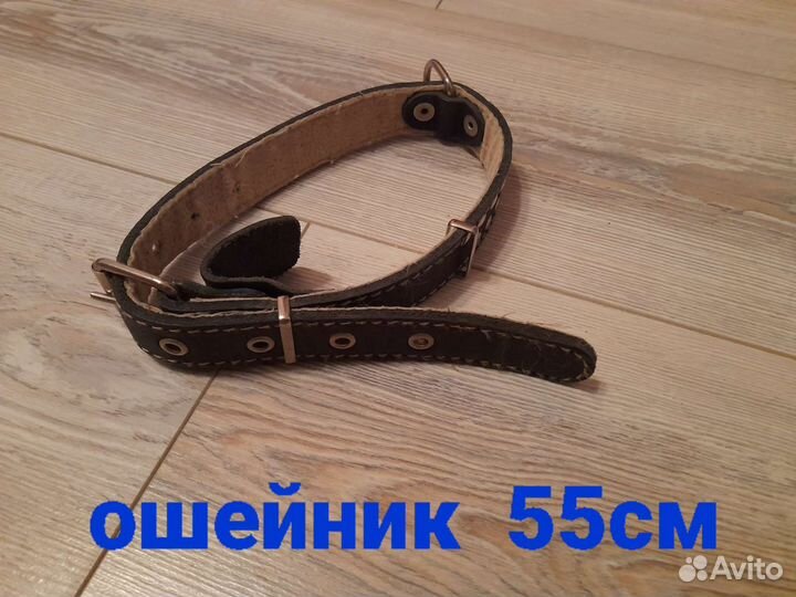 Ошейник для собак