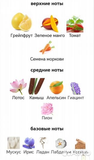 Hermes Un jardin sur le nil