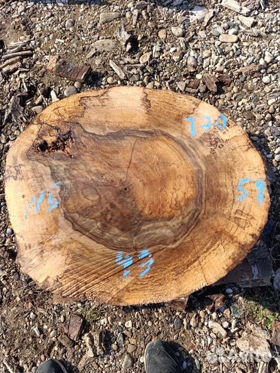 Спилы/слэбы ореха в наличии