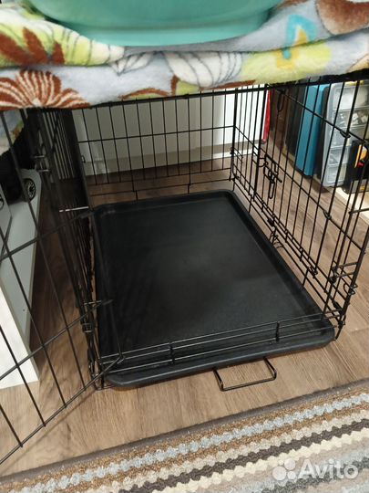 Клетка для котят, кошки