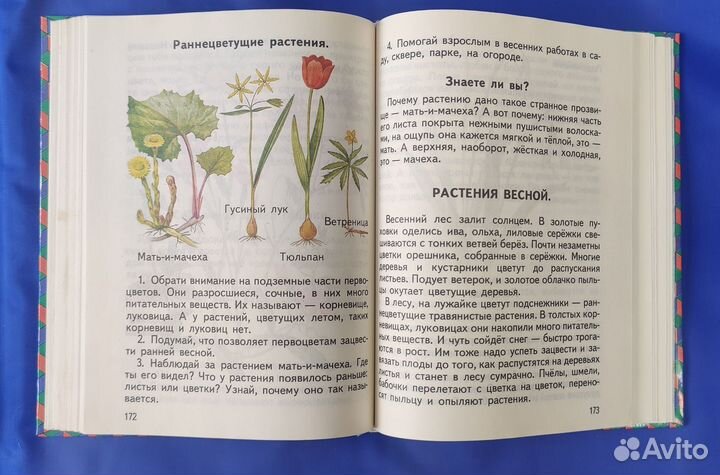 Книга для чтения Естествознание 1 класс