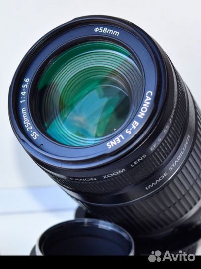 Canon Zoom Lens EF-S 55-250mm f/4-5.6