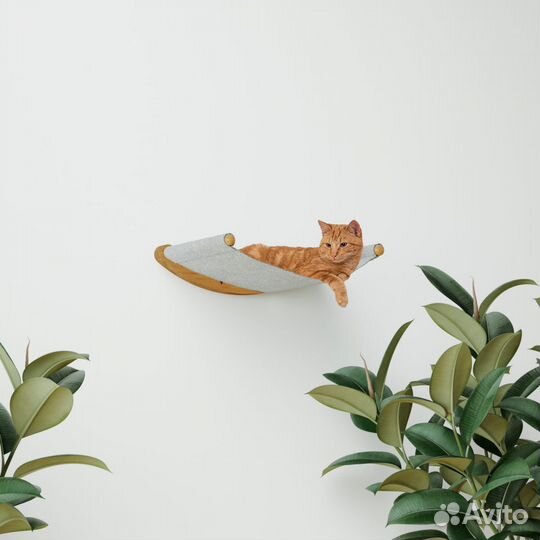 Когтеточка для кошек