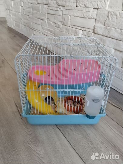 Джунгарский хомяк с клетко