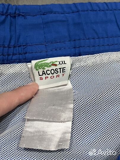 Шорты lacoste