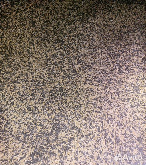 Корм (ячмень/семечки) для сельхоз. животных