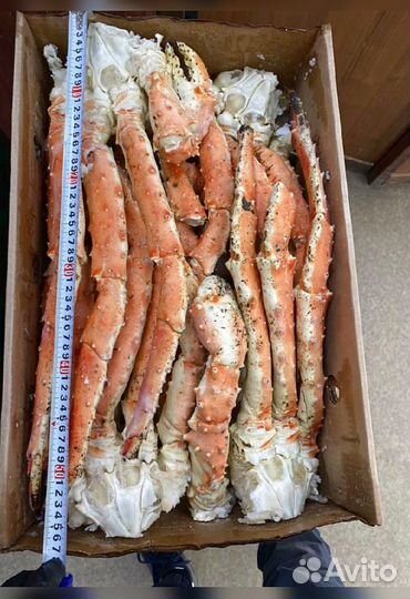 Конечности краба стригуна